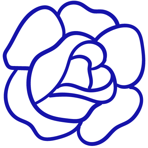 Léger parfum rose et jasmin