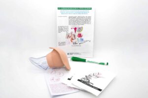 Set de démonstration de pose du préservatif féminin